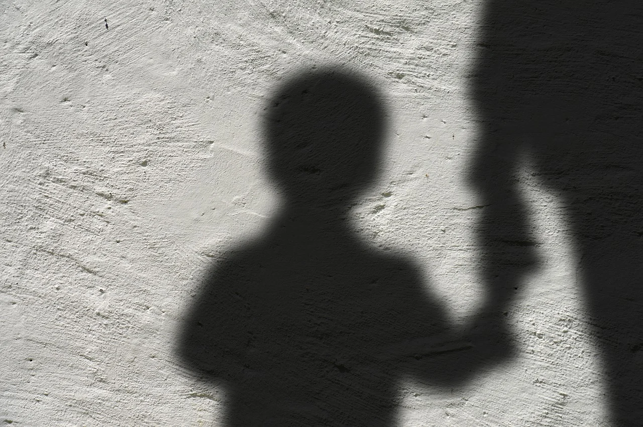 Śląskie: Przemoc wobec dzieci. Pracownicy ośrodka oskarżeni/fot.pixabay.com
