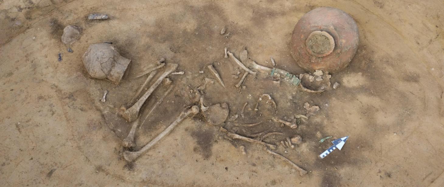 Wyjątkowe znalezisko przy budowie ekspresówki/fot.GDDKiA