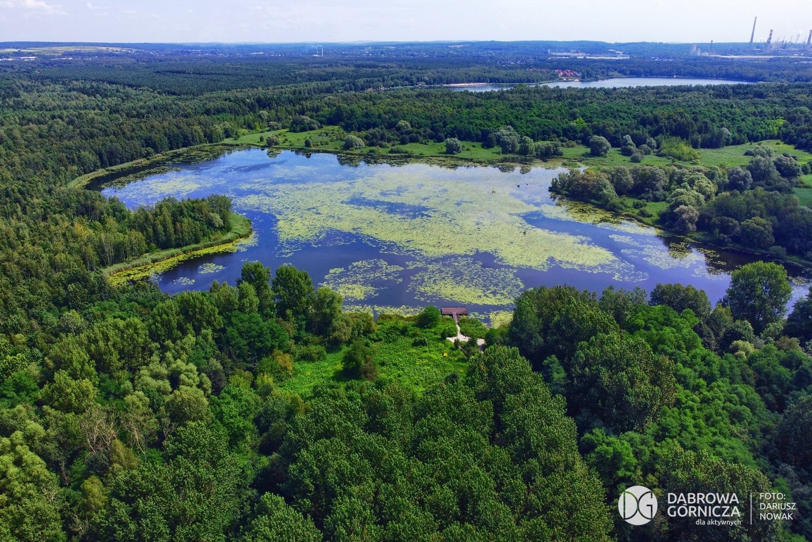 Pogoria II. Malownicze miejsce w Dąbrowie Górniczej/fot.UM Dąbrowa Górnicza