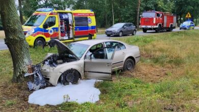 Zjechał z drogi i uderzył w drzewo. Nie żyje/fot.Policja Lubelska