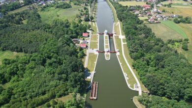 Jest przełom w walce ze złotą algą/fot.IMGW