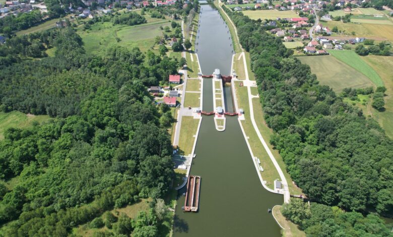 Jest przełom w walce ze złotą algą/fot.IMGW