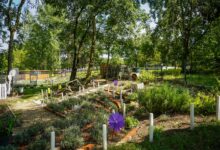 Katowice: Budują ogród sensoryczny w Burowcu/fot.UM Katowice