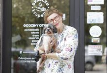 Międzynarodowy Dzień Psa. Fundacja Deszczu Kropelką zaprasza na Ligotę/fot.mat.prasowe