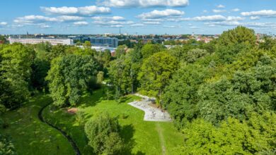 Gliwice będą zielone i basta!/fot.UM Gliwice