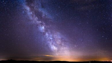 Ruda Śląska: Noc Perseidów na Burloch Arenie/fot.pixabay.com