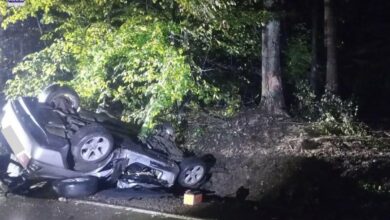 Uderzył w drzewo. Obywatel Ukrainy zginął na miejscu/fot.Policja Lubelska