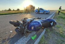 Zderzenie motocyklisty z łosiem. Mężczyzna nie żyje, zwierzę też/fot.Policja Lubelska