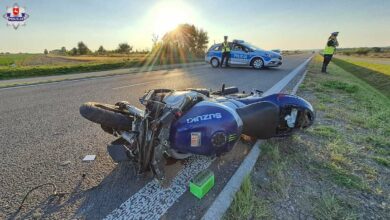 Zderzenie motocyklisty z łosiem. Mężczyzna nie żyje, zwierzę też/fot.Policja Lubelska