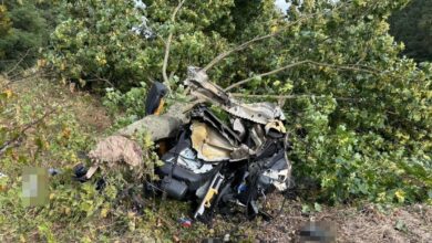 Dwie połówki audi. Kierowca nie żyje/fot.Policja Lubelska