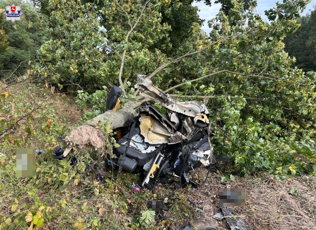 Dwie połówki audi. Kierowca nie żyje/fot.Policja Lubelska