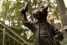 Nowe beboki w Katowicach