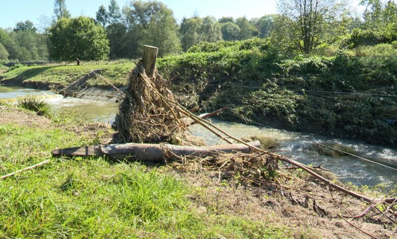 Wielka woda w gminie Zebrzydowice. Trwa sprzątanie