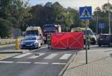 Potrącił mężczyznę z dwójką dzieci. Jedno z nich nie żyje/fot.Policja Podkarpacka