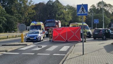 Potrącił mężczyznę z dwójką dzieci. Jedno z nich nie żyje/fot.Policja Podkarpacka