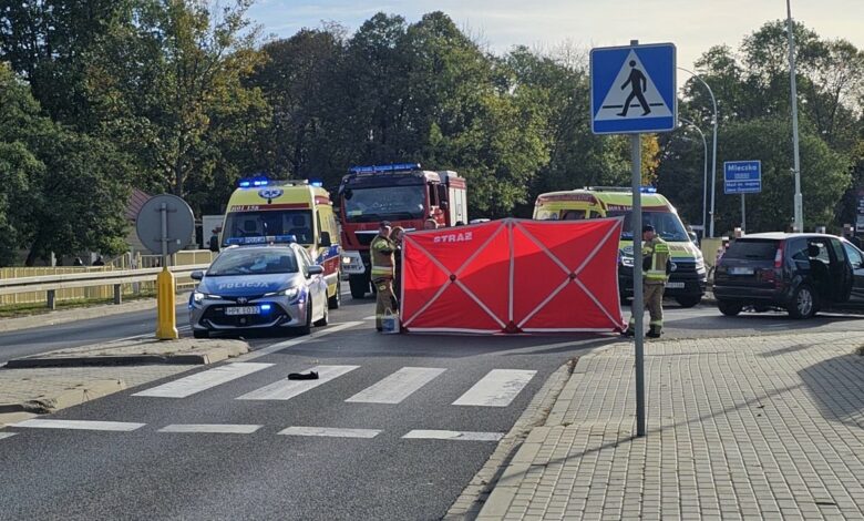 Potrącił mężczyznę z dwójką dzieci. Jedno z nich nie żyje/fot.Policja Podkarpacka