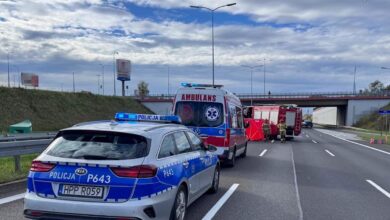 Śmierć na DTŚ. Policja zdradza, jak doszło do tragedii/fot.Śląska Policja