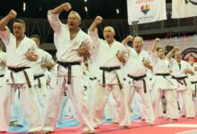 Katowice: Karate w Spodku