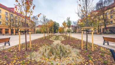 Tychy: Bardziej zielony Plac Baczyńskiego/fot.UM Tychy