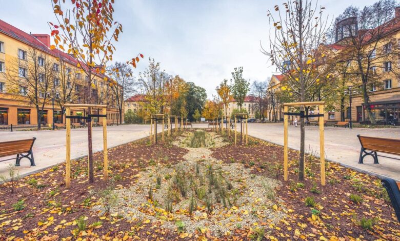 Tychy: Bardziej zielony Plac Baczyńskiego/fot.UM Tychy