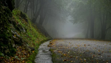 Zmiana pogody. Nadchodzi ochłodzenie/fot.ppixabay.com