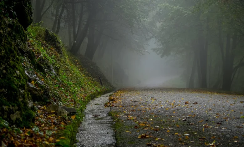 Zmiana pogody. Nadchodzi ochłodzenie/fot.ppixabay.com