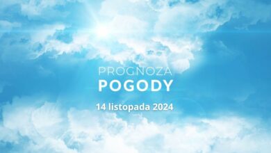 Prognoza pogody