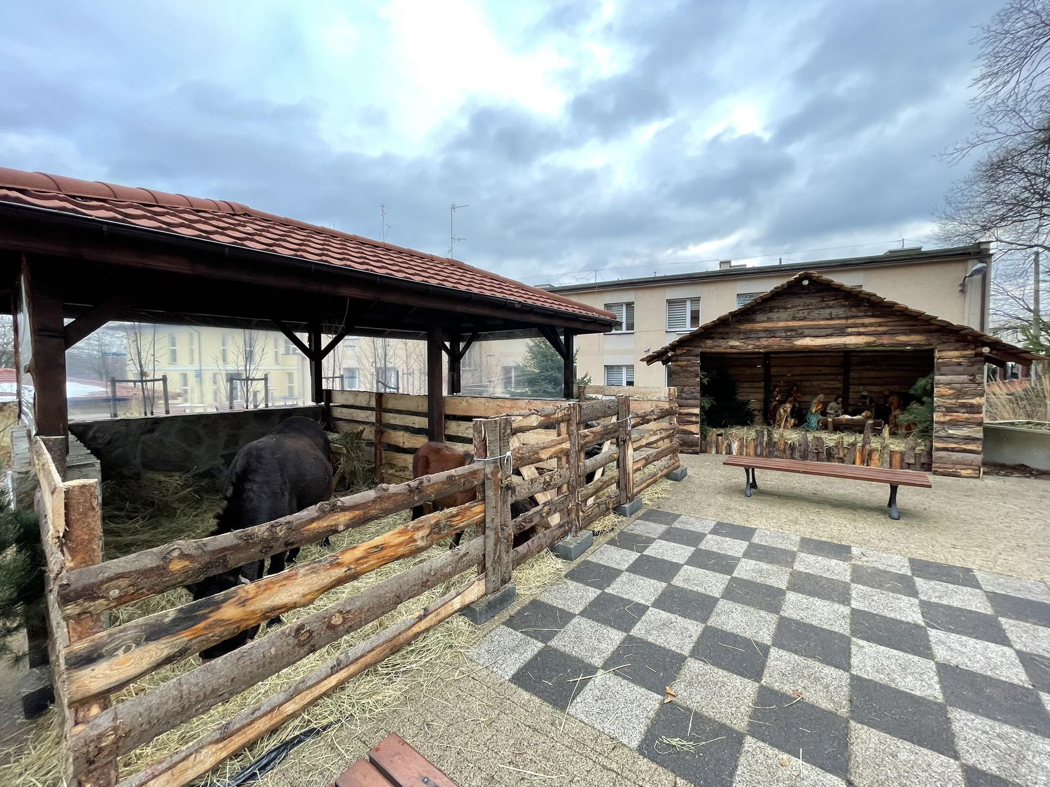 Żywa Stajenka w Wodzisławiu Śląskim