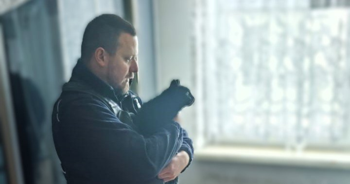 Porzucony Kot w Zabrzu