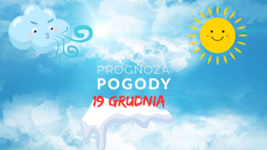 Prognoza Pogody