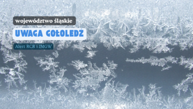 Alert RCB Gołoledź