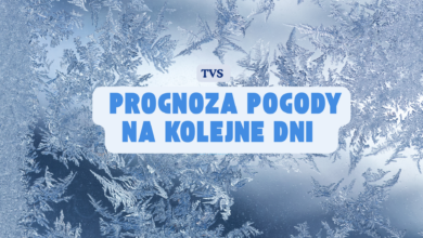 Prognoza pogody