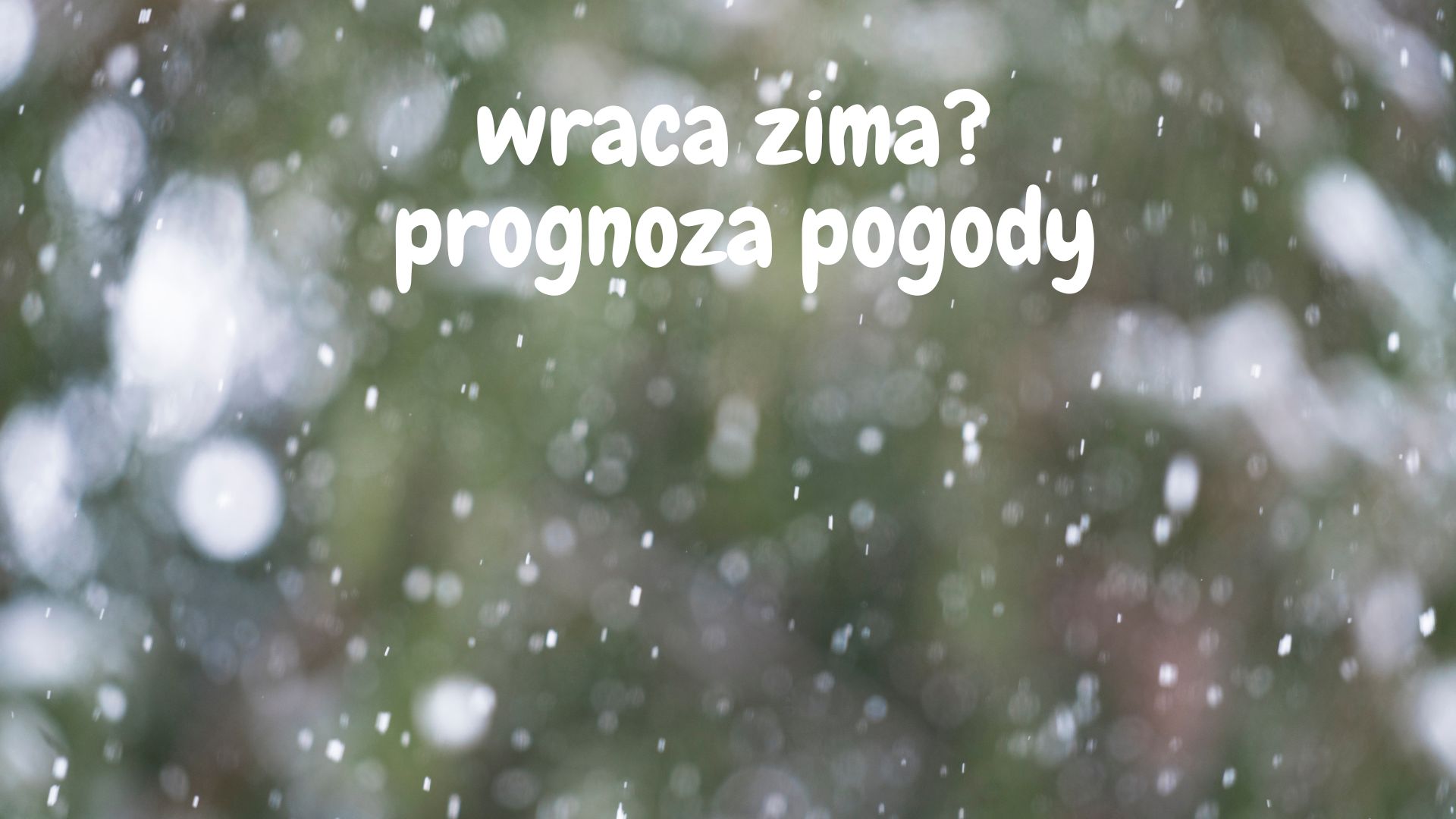 Prognoza Pogody