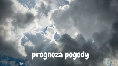 Prognoza Pogody