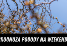 Prognoza Pogody na weekend