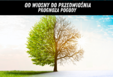 Prognoza pogody