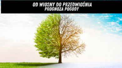 Prognoza pogody