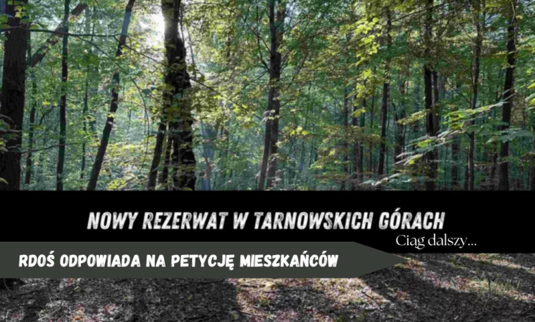park repecki, Tarnowskie Góry
