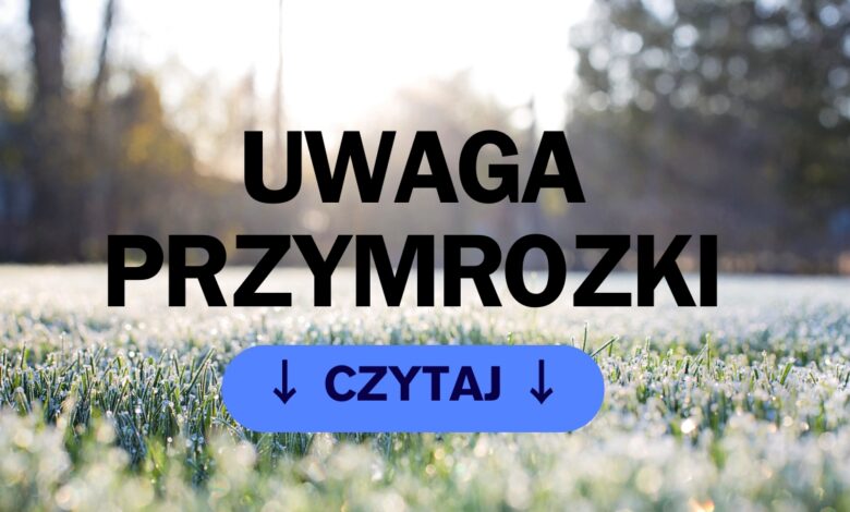 Prognoza pogody na weekend 26–27 kwietnia 2025 OSZRONIONA TRAWA