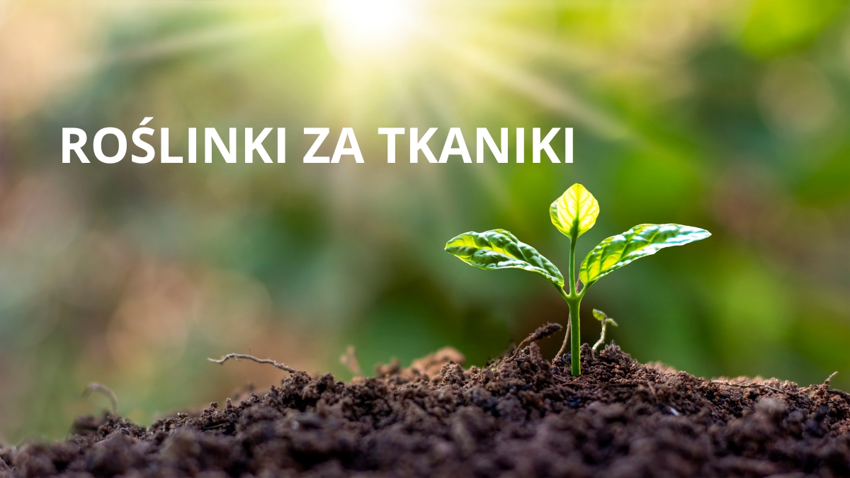 Wymień stare tkaninki na roślinki – wyjątkowa akcja w Zabrzu!