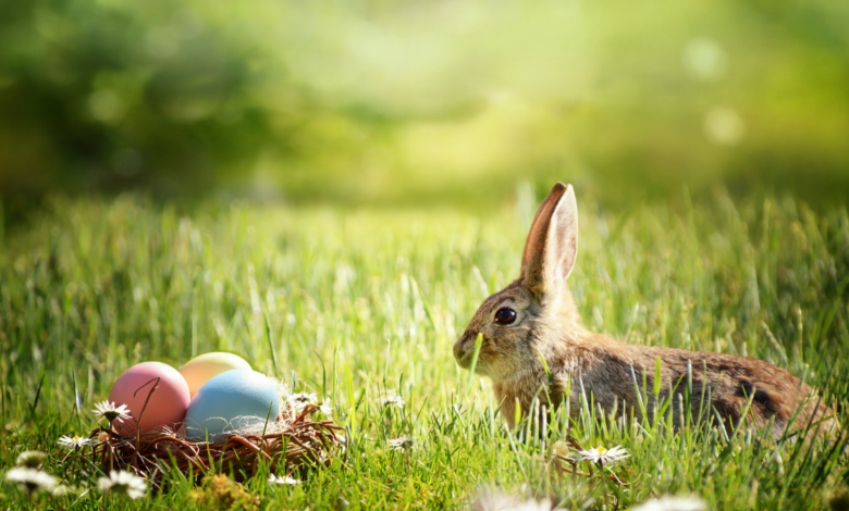 święta wielkanocne zając w trawe i malowane jajka