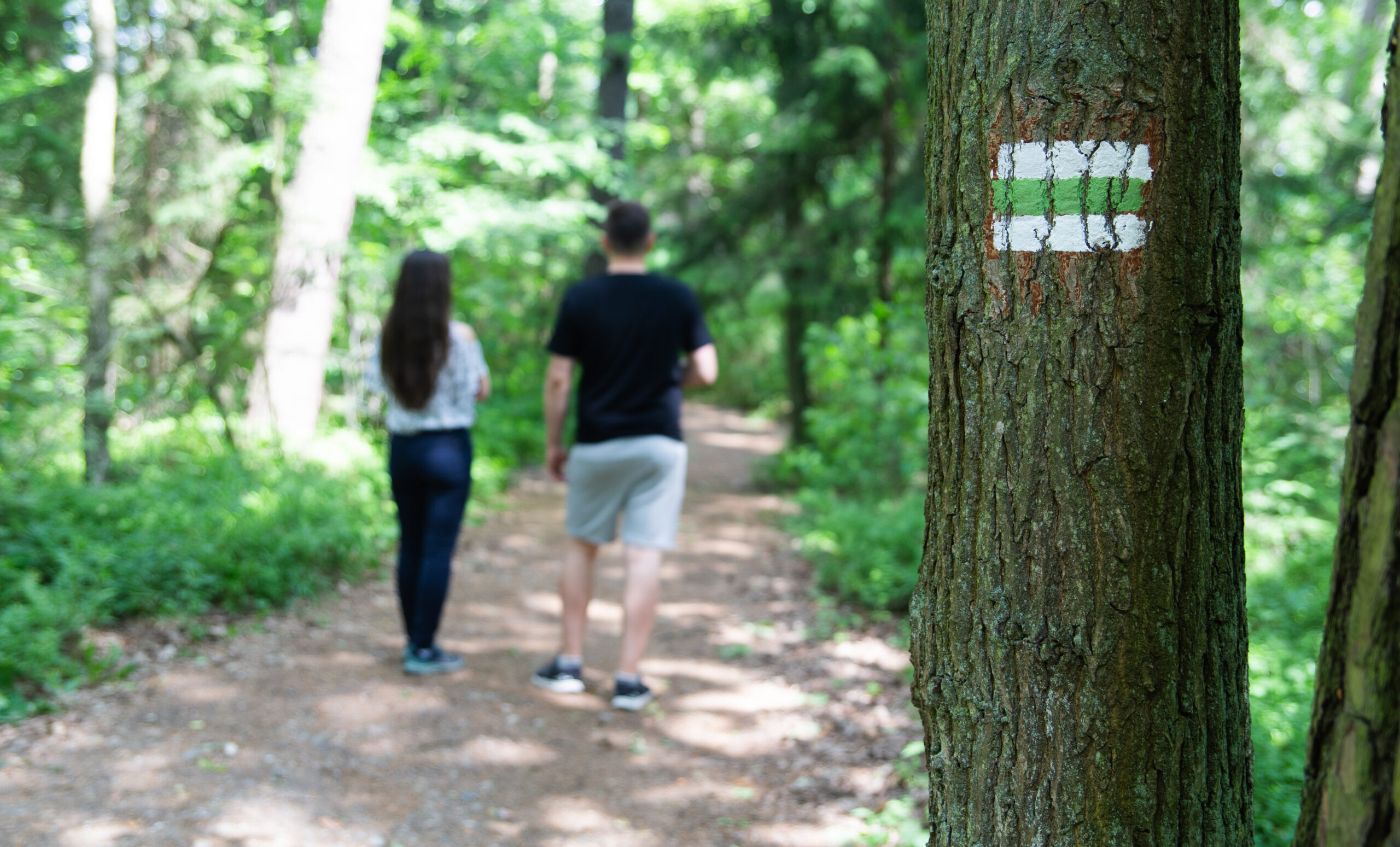 Uwaga! Ruszyła akcja „Majówka 25” – kontrole w lasach i wzmożone patrole