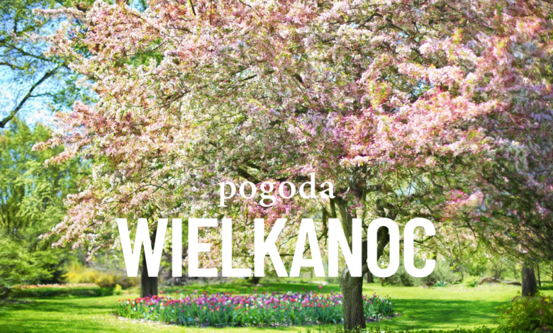 Prognoza Pogody Wielkanoc kwitnący sad