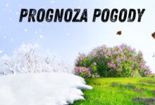 Prognoza Pogody