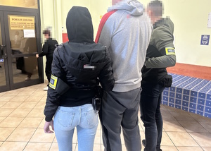 pseudokibic zatrzymany