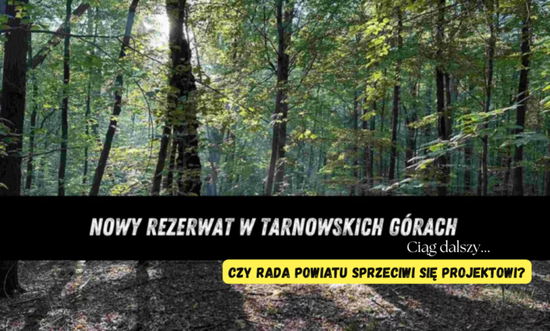 park repecki w Tarnowskich Górach