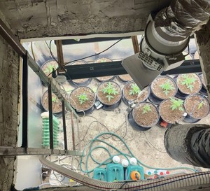 Tysiące porcji narkotyków przejęte przez policję – zatrzymania w Jaworznie i Sosnowcu