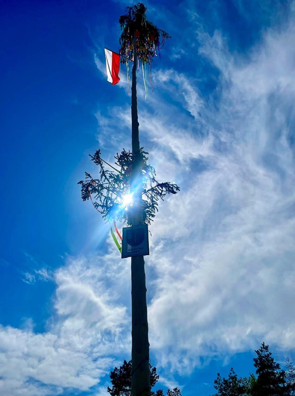 Majowa tradycja w Jasienicy. Mieszkańcy i strażacy znów postawili „moja”