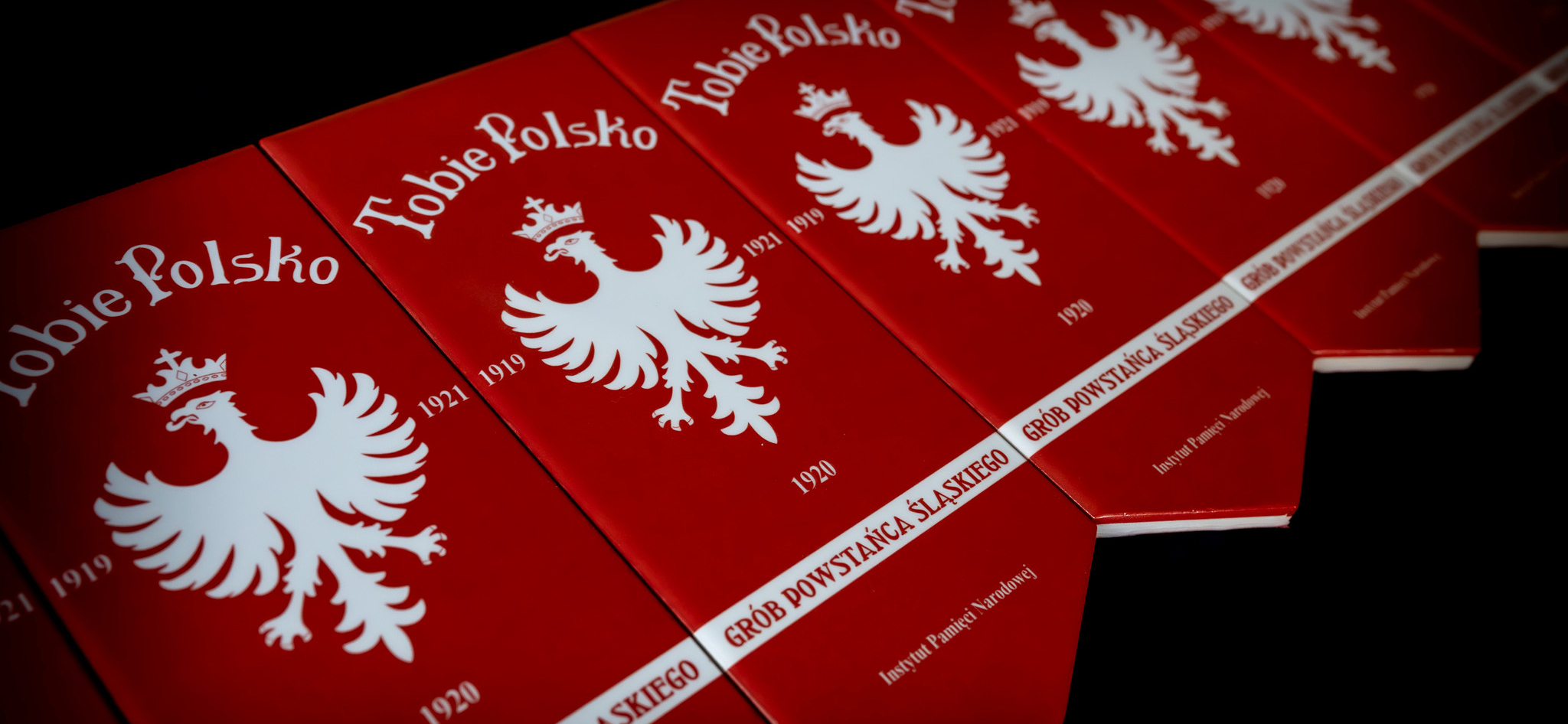 IPN rusza z ogólnopolską akcją „Wszyscy jesteśmy ze Śląska!”