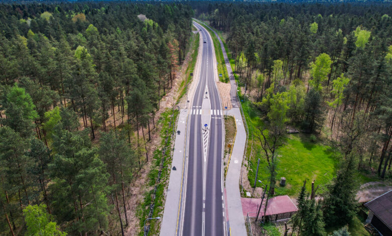 DK46 Janów Lgoczanka Lelów Nakło z lotu ptaka